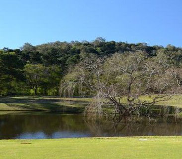 Antill Park Country Golf Club - Tourism Brisbane 1