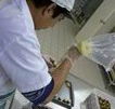 Fremantle Chocolate Pty ltd - Tourism Brisbane
