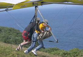 Book Newcastle NSW Attractions Tourism Brisbane Tourism Brisbane