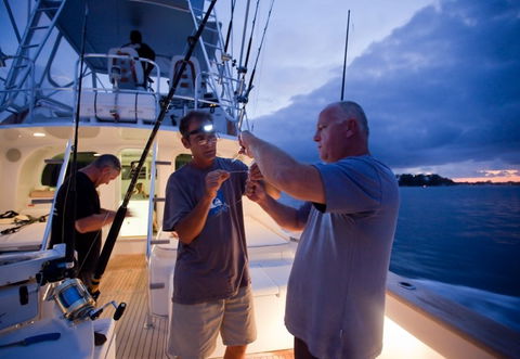Amokura Charters - Brisbane Tourism 1