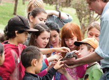 Blackbutt Reserve - Brisbane 4u 2