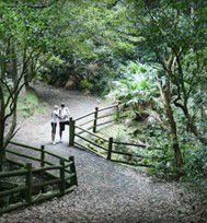 Blackbutt Reserve - Brisbane 4u 3