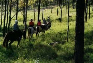 Hunter Valley Horse Riding And Adventures - Tourism Brisbane 0