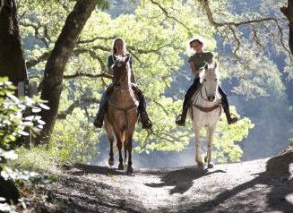 Hunter Valley Horse Riding And Adventures - Tourism Brisbane 1