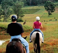 Hunter Valley Horse Riding And Adventures - Tourism Brisbane 3