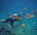 Imagine Cruises - Tourism Brisbane