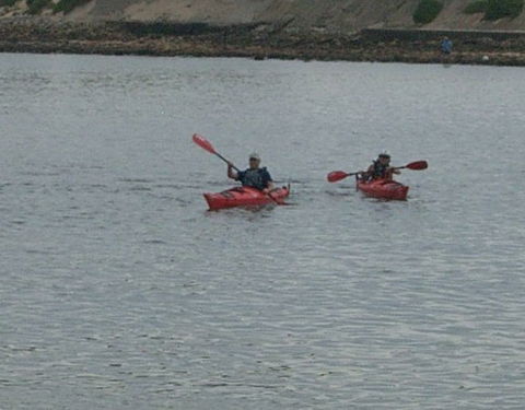 Newcastle Kayak Tours - Tourism Brisbane 4