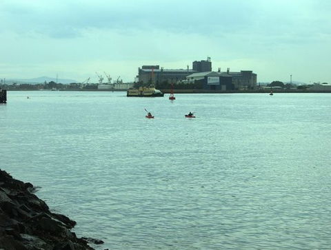 Newcastle Kayak Tours - Tourism Brisbane 5