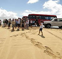 Port Stephens 4WD Tours - Tourism Brisbane