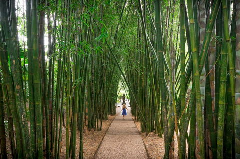 Crystal Castle & Shambhala Gardens - Brisbane Tourism 1