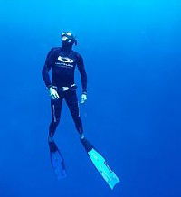 Byron Bay Dive Centre - Brisbane Tourism 1