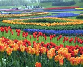 Botanica World Discoveries - Tourism Brisbane 0