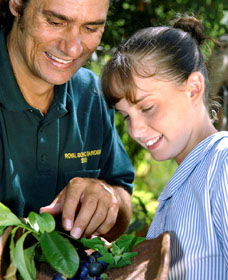 Aboriginal Heritage Tour - Tourism Brisbane 1