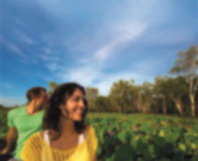 AAT Kings Guided Tours (Top End) - Tourism Brisbane 3