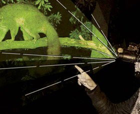 After Dark Nature Tours - Tourism Brisbane 0