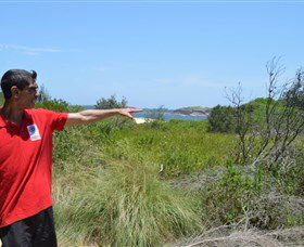 Kadoo Tours - Tourism Brisbane 0