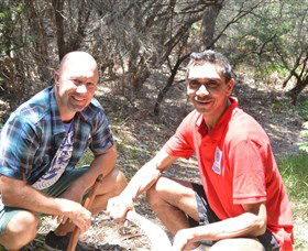 Kadoo Tours - Tourism Brisbane 2