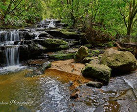 Australian Sightseeing And Photography Tours - Tourism Brisbane 1
