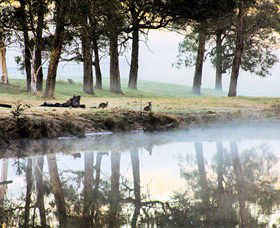 Australian Sightseeing And Photography Tours - Tourism Brisbane 4