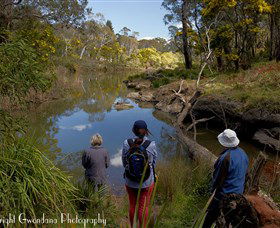 Australian Sightseeing And Photography Tours - Tourism Brisbane 5