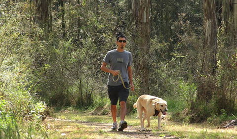 Second Ponds Creek Walk - Tourism Brisbane 3