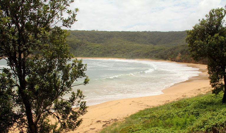 Saratoga NSW Tourism Brisbane