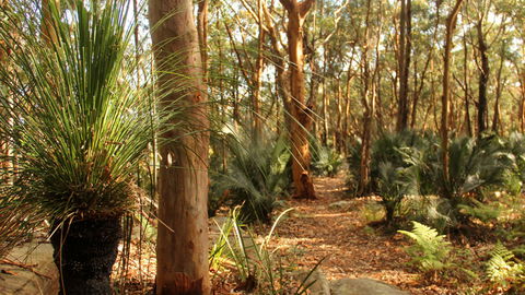 Bouddi National Park - Tourism Brisbane 1