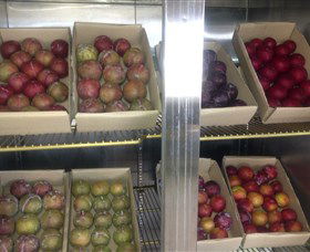 Canoelands Orchard - Tourism Brisbane 1