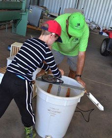 Canoelands Orchard - Tourism Brisbane 2
