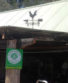 Canoelands Orchard - Tourism Brisbane 3