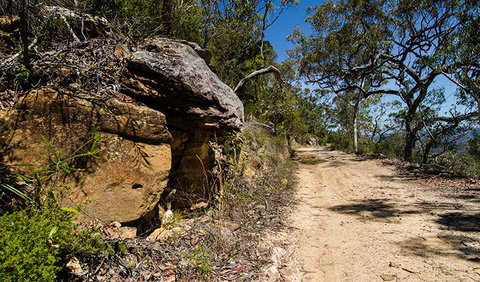 Canoelands Ridge Walking Track - Tourism Brisbane 0