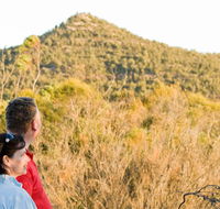 Piles Creek loop - Brisbane Tourism