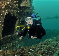 Ex-Hmas Adelaide Dive Site - Tourism Brisbane