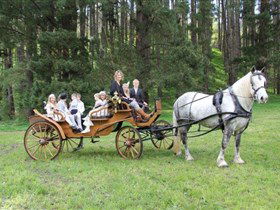 Athol Park SA Brisbane Tourism