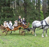 Classic Carriage Drives - Brisbane Tourism