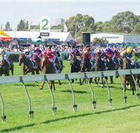 Morphettville Racecourse - Brisbane Tourism