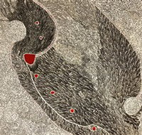 Marshall Arts - Tourism Brisbane