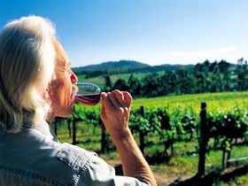 Ashton Hills Vineyard - Tourism Brisbane 0