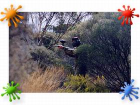 Paintball Skirmish SA - Brisbane Tourism 2