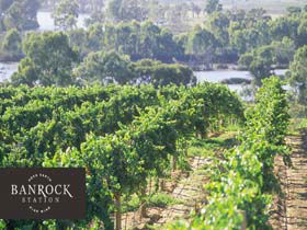 Banrock Station Wine And Wetland Centre - Tourism Brisbane 0