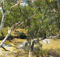 Quilberry Creek Fishing - Tourism Brisbane