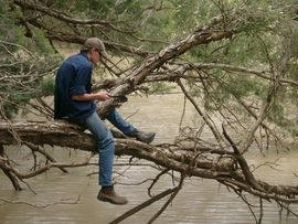 Quilberry Creek Fishing - Tourism Brisbane 3