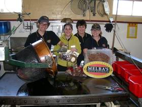Melba's Chocolate And Confectionery Factory - Brisbane 4u 1