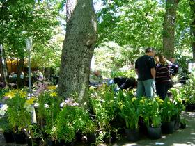 The Stirling Market - Brisbane Tourism 0