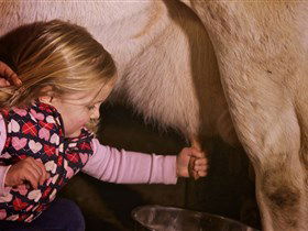 Hahndorf Farm Barn - Brisbane Tourism 1