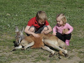 Hahndorf Farm Barn - Brisbane Tourism 3