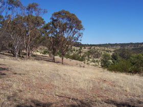 Onkaparinga River National Park - Brisbane 4u 0