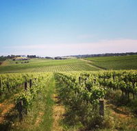 Adelaide Winemakers - Tourism Brisbane