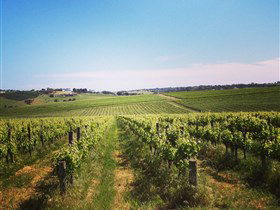 Adelaide Winemakers - Tourism Brisbane 0