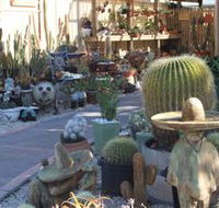 Cactus Creations - Tourism Brisbane